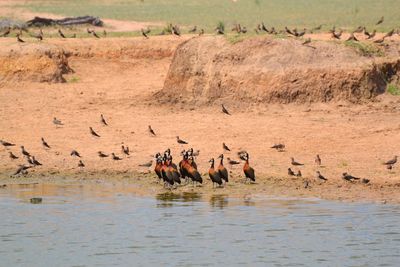 Group of people drinking water