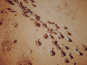 High angle view of footprints on sand