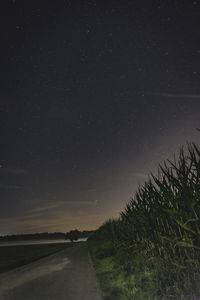 Road amidst trees against sky at night