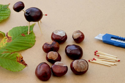 High angle view of fruits on table