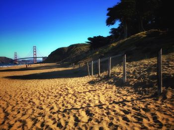 View of trees against clear blue sky