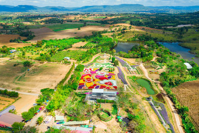 High angle view of trees and buildings
