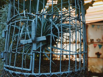 Close-up of metal in cage