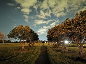 Trees on field against sky