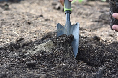 Plant hands earth cucumber tomatoes garden ecology bio