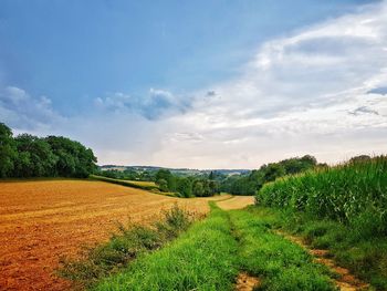 Scenic view of agricultural field against sky