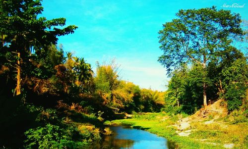 Scenic view of river against sky