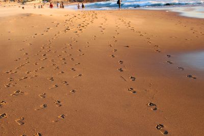 Footprints at sandy beach