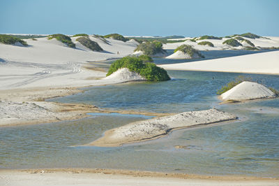 Scenic view of beach against clear sky