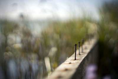 Close-up of wooden post on land