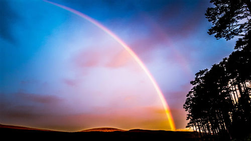 Low angle view of rainbow over trees