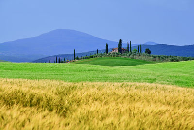 landscape