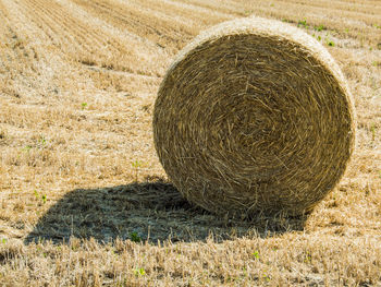 Close-up of hay bale in field