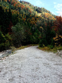 Road amidst trees in forest against sky