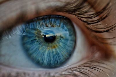 Close-up of human eye