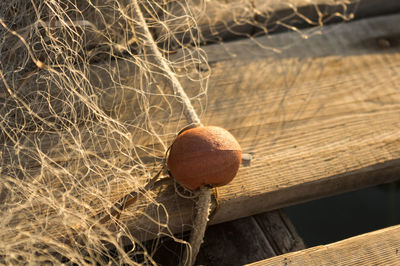 High angle view of bread on wood