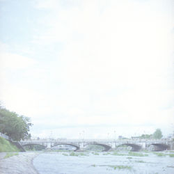 Road passing through a forest