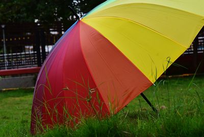 Close-up of multi colored umbrella on land