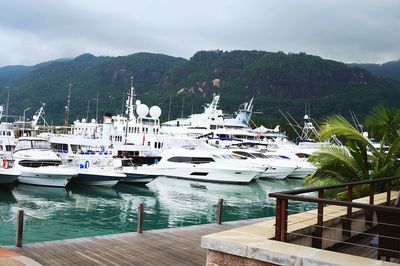 Boats in harbor