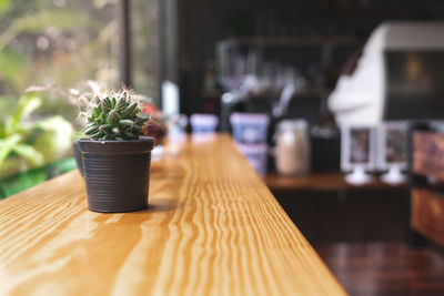 Close-up of potted plant on table