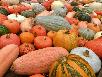 Full frame shot of pumpkins for sale at market