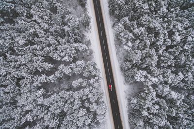 Aerial view of a divided road in winter forest