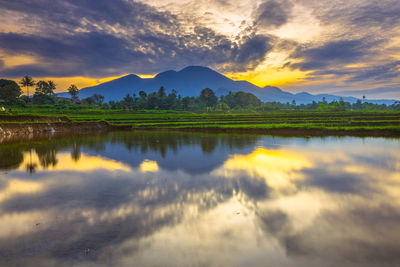 nature