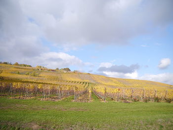 Scenic view of farm against sky