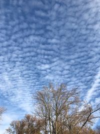 Low angle view of bare tree against cloudy sky