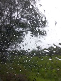 Close-up of wet window in rainy season