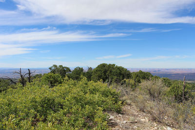 Scenic view of landscape by sea against sky