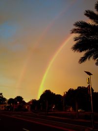 Rainbow over trees