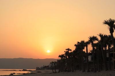 Silhouette palm trees on beach against sky during sunset