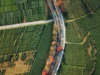 Aerial view of farms