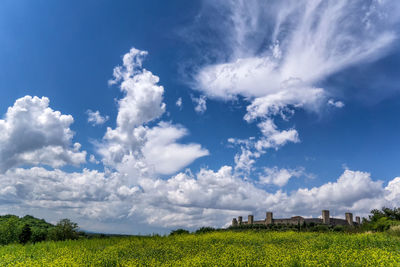 Scenic view of field against clear sky