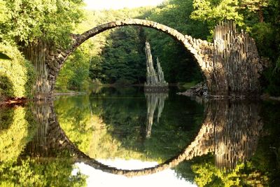 Reflection of trees in lake