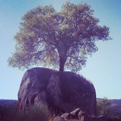 Low angle view of rock formation against sky