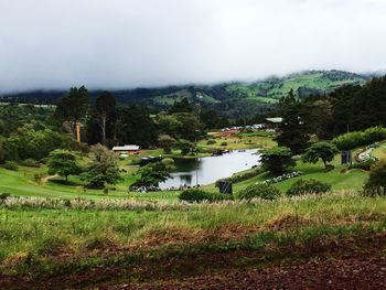 Scenic view of lake by trees against sky