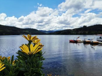 Scenic view of lake against cloudy sky