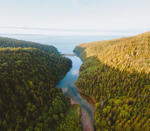 A tidal river leads to the bay of fundy in new brunswick