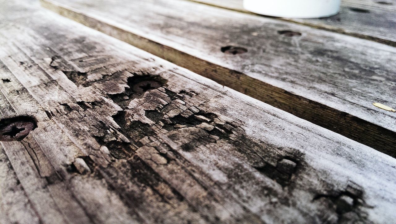 wood - material, wooden, plank, wood, high angle view, close-up, animal themes, weathered, boardwalk, textured, day, old, outdoors, damaged, abandoned, no people, animals in the wild, pier, selective focus, table