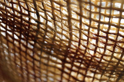 Full frame shot of pattern