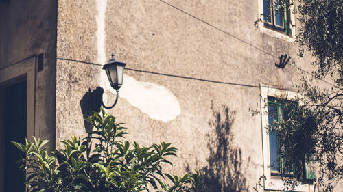 Low angle view of light bulbs hanging on wall