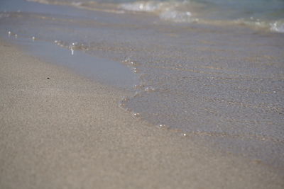 Scenic view of beach