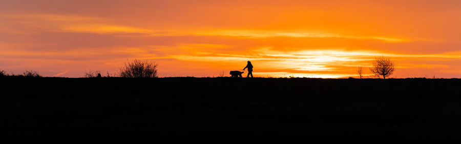 Silhouette person standing on field against sky during sunset