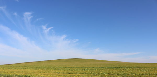 Scenic view of field against blue sky