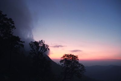Low angle view of silhouette trees against sky at sunset