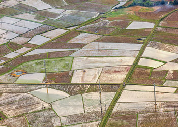 High angle view of agricultural field