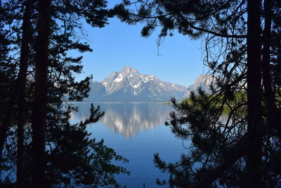 Scenic view of lake by trees against sky