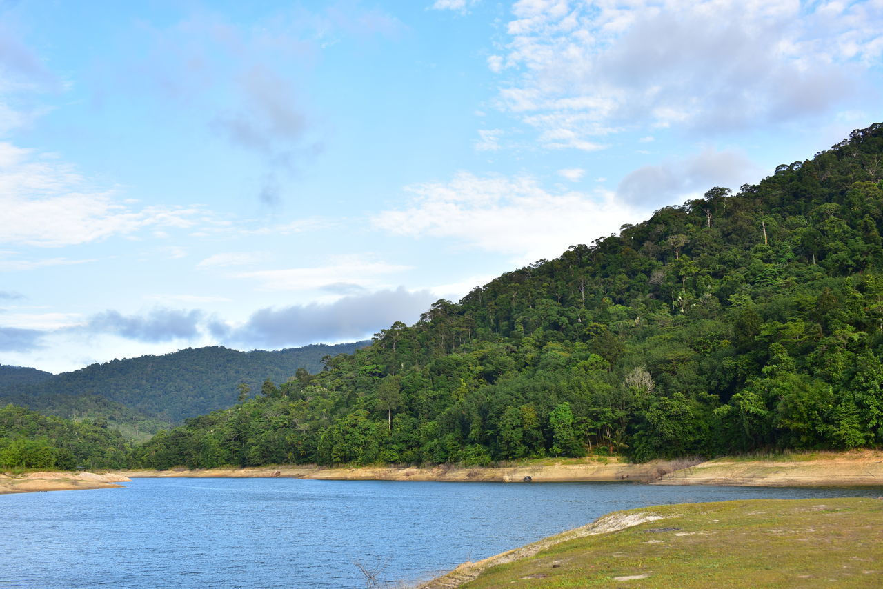 SCENIC VIEW OF SEA BY TREES AGAINST SKY